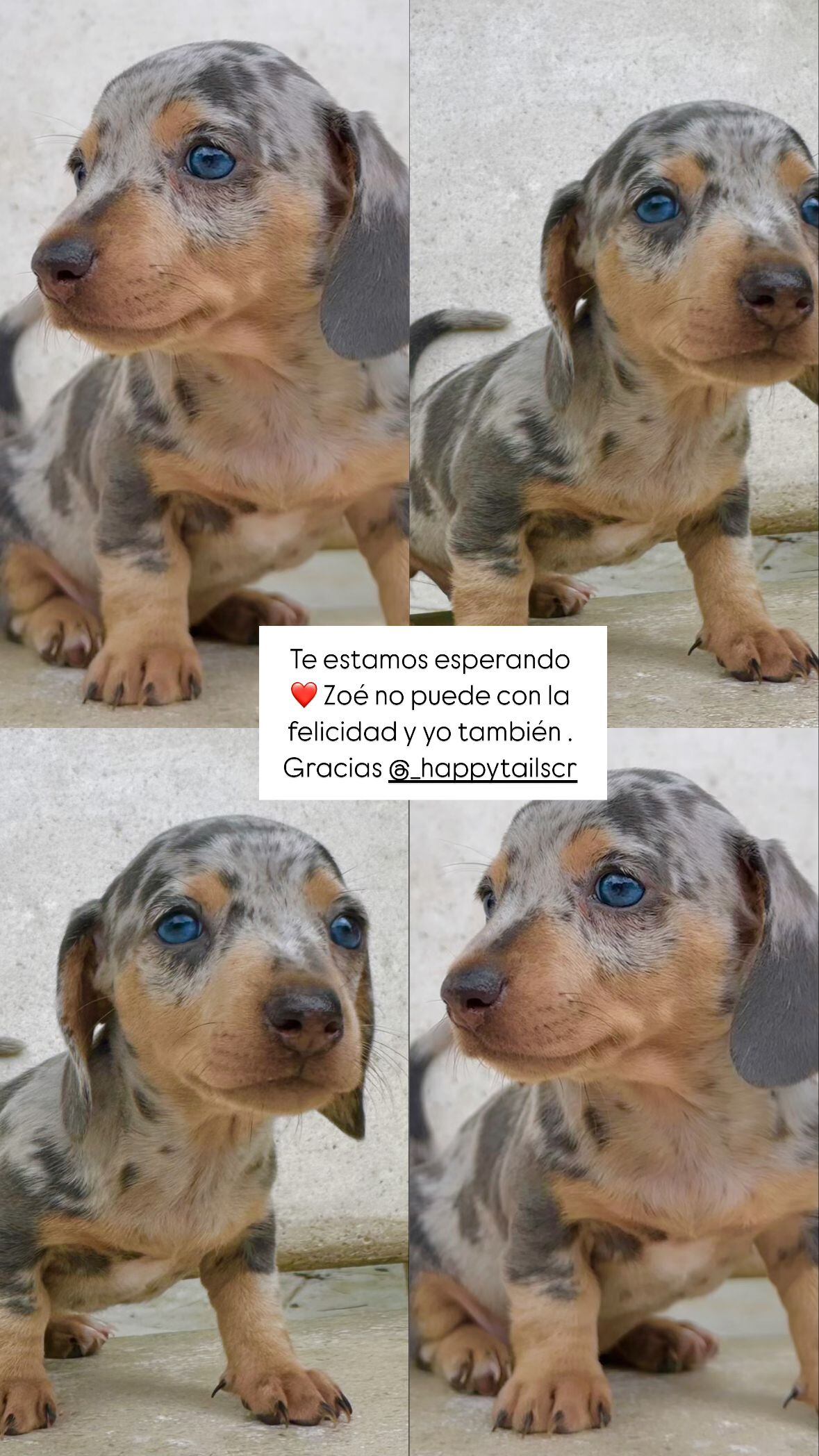 Ericka Morera anuncia que su familia crece.