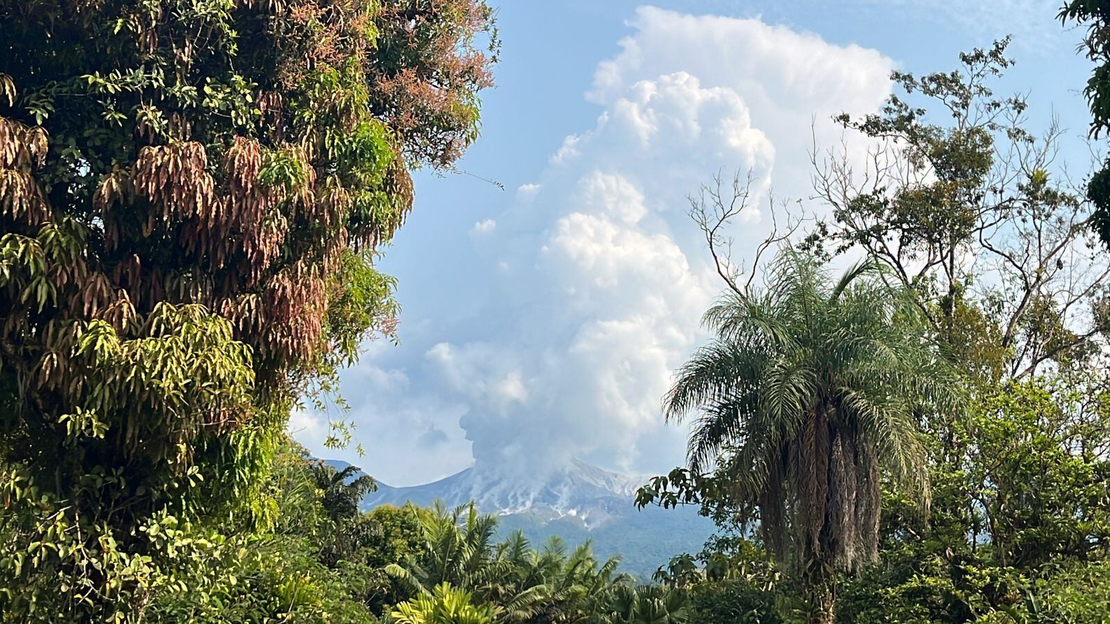Una efusiva pluma que se elevó a 300 metros sobre el cráter activo fue captada desde el flanco norte este jueves. Foto: Cortesía Mauricio  Gutiérrez