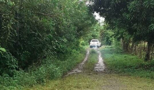 Mario Santos Umaña Cruz, de 42 años, muere luego de ser picado en la cara por una avispa. El hecho ocurrió en Peñas Blancas de San Ramón. Foto Edgar Chinchilla.
