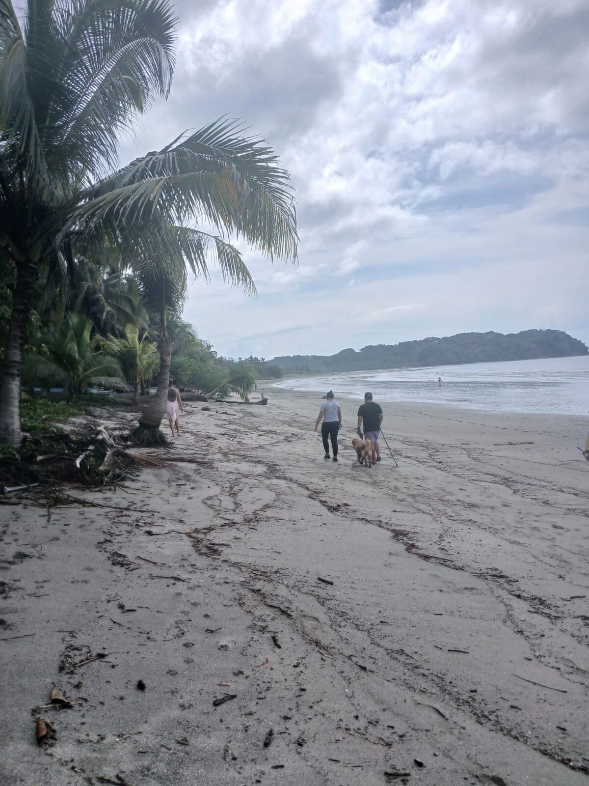 Daniela Escobar Salas, de 30 años, cumplirá una semana que fue vista por última vez, su paradero es incierto y cada día aumenta la incertidumbre al no saber qué pasó con ella. Foto: Tomada de redes sociales