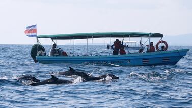 Cámara de Turismo: “Desde el 2018 llamamos la atención sobre la inseguridad”
