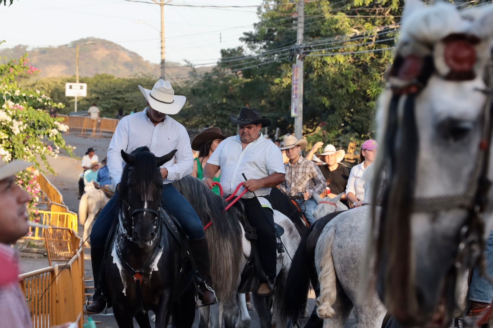 18/01/2024/ Con gran participación de caballistas y turistas se realizó el tope de Santa Cruz en Guanacaste / Foto Alonso Tenorio