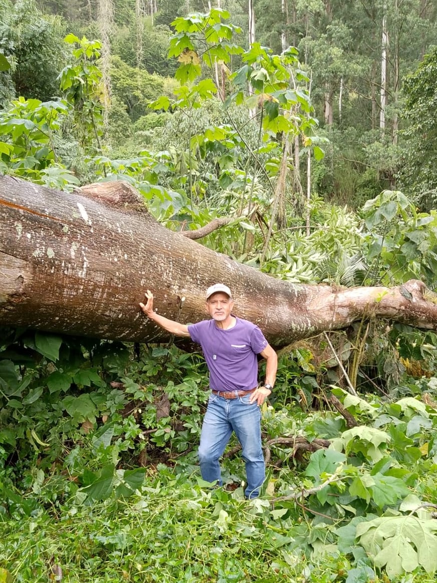 Don Marco Solano Moya vive en Paraíso de Cartago y desde hace varios años está en una guerra sin cuartel con el objetivo de salvar un cementerio en el cual hay más de mil personas enterradas desde la época colonial
