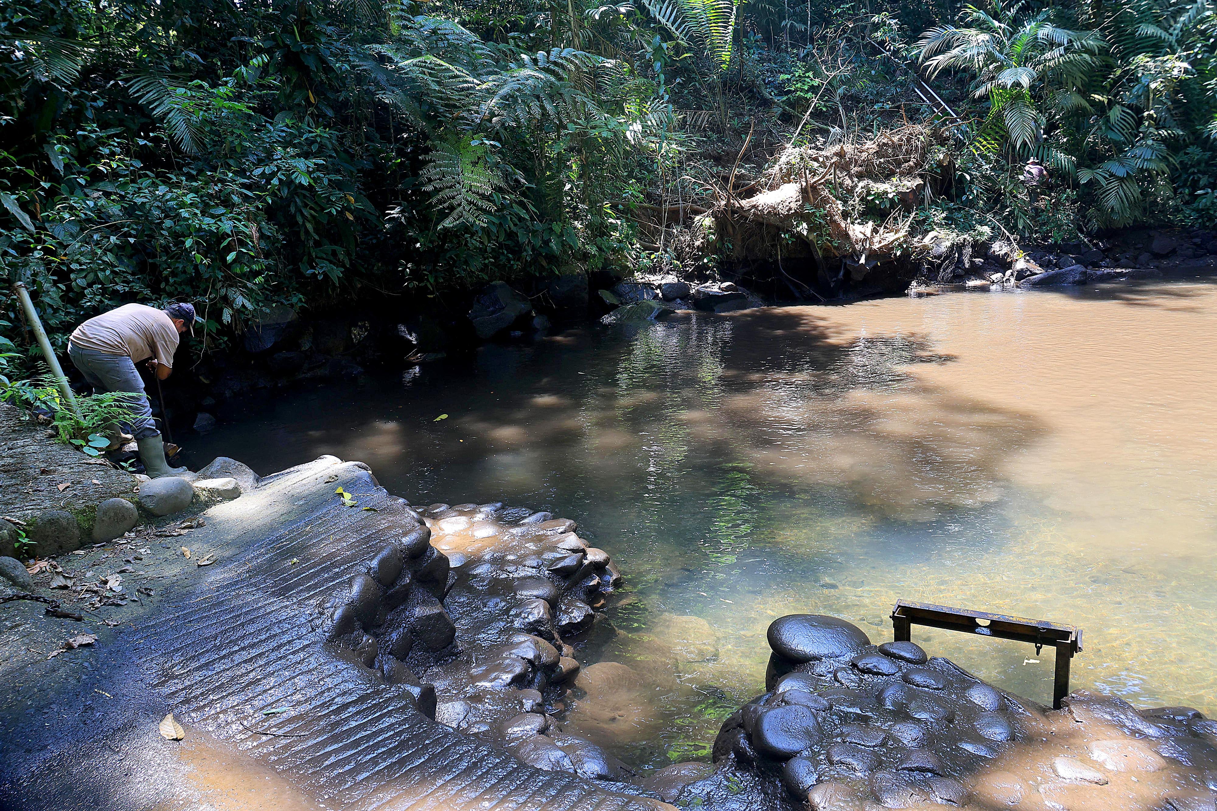 06/03/2024 Río Cuarto de Alajuela. Hotel del Bosque, ofrece caminatas por senderos naturales, servicio de restaurante, gimnasio, canchas y áreas al aire libre para practicar deporte, incluyendo una piscina natural. Foto: Rafael Pacheco Granados