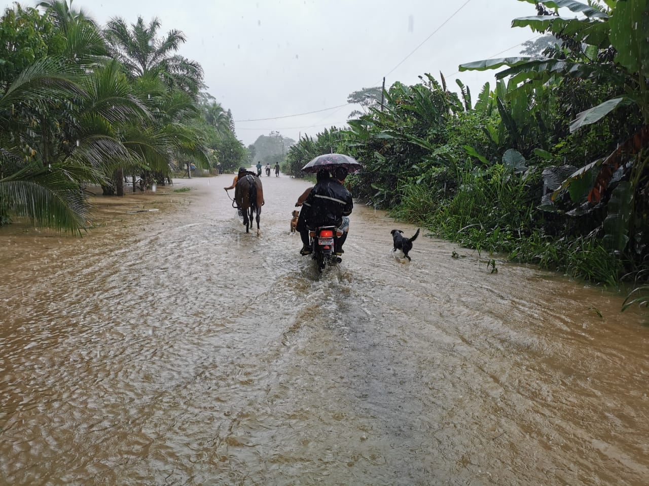 inundaciones caribe abril 2020