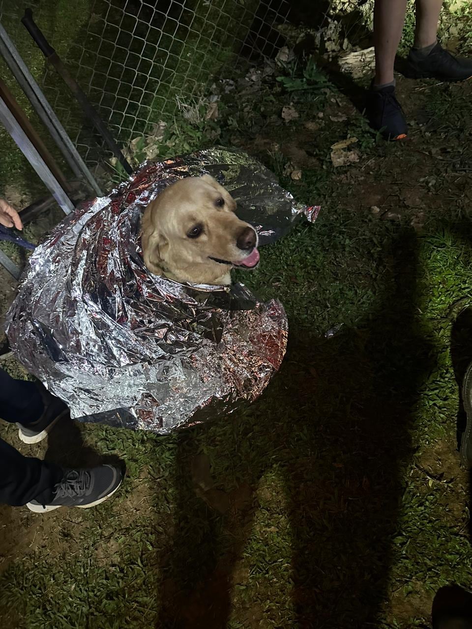 Un peludito y cuatro personas fueron rescatadas en La Marina de Aguas Zarcas de San Carlos la madrugada de este Sábado Santo luego de reportar que estaban perdidos. Foto: Cruz Roja