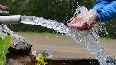 El truco de los 3 minutos para limpiar el agua contaminada con heces, según experta de la UCR