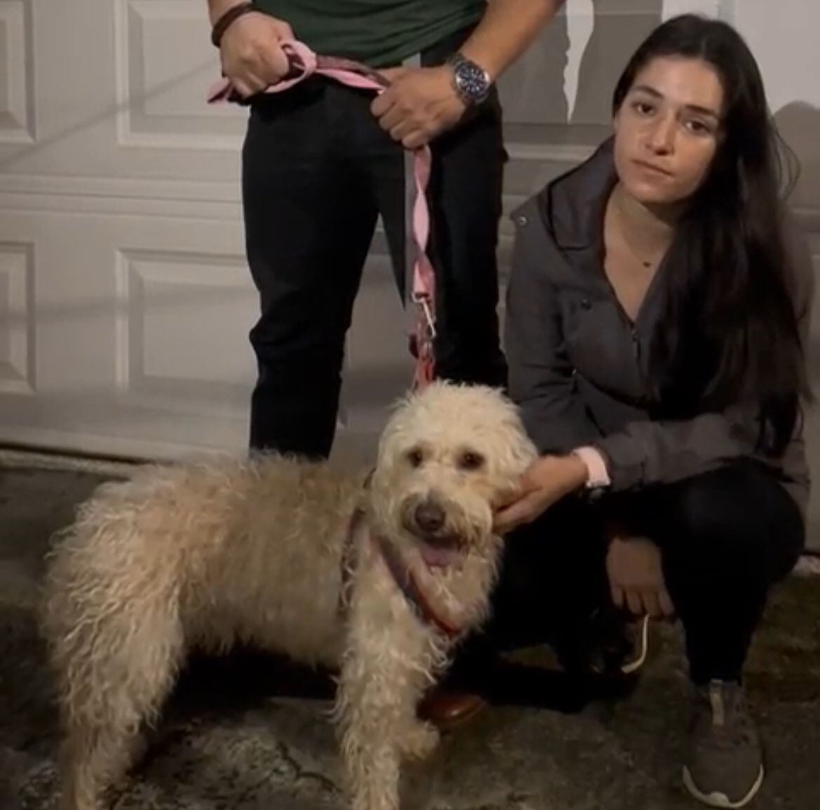 Rescatan a perrito que era agredido con palo