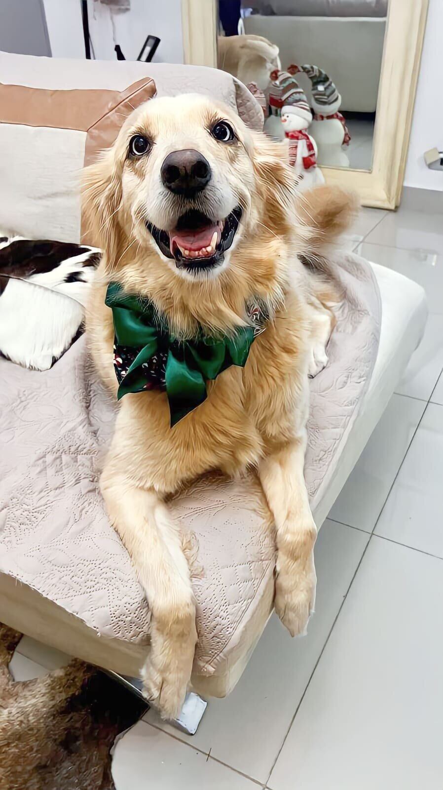 Perrita le salvó la vida a su dueño y él se lo agradece organizando la Viva Feria de Mascotas.