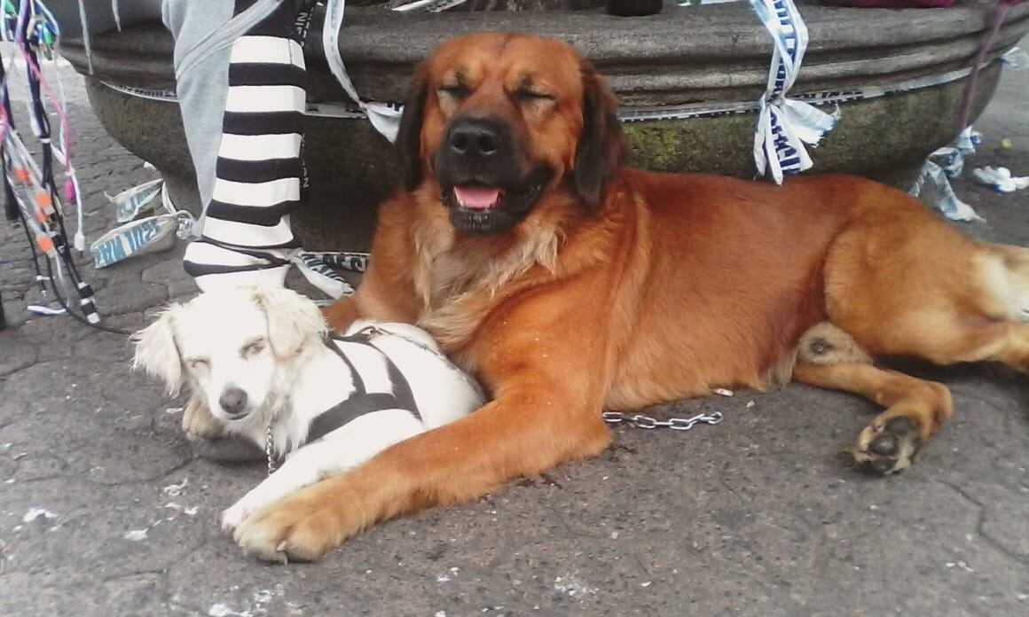 Adrián Garro Fernández, hombre que fue atropellado por patrulla el 25 de octubre en Alajuelita. Foto Adrián Garro.