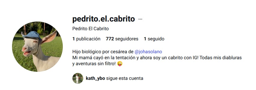 Johanna Solano
