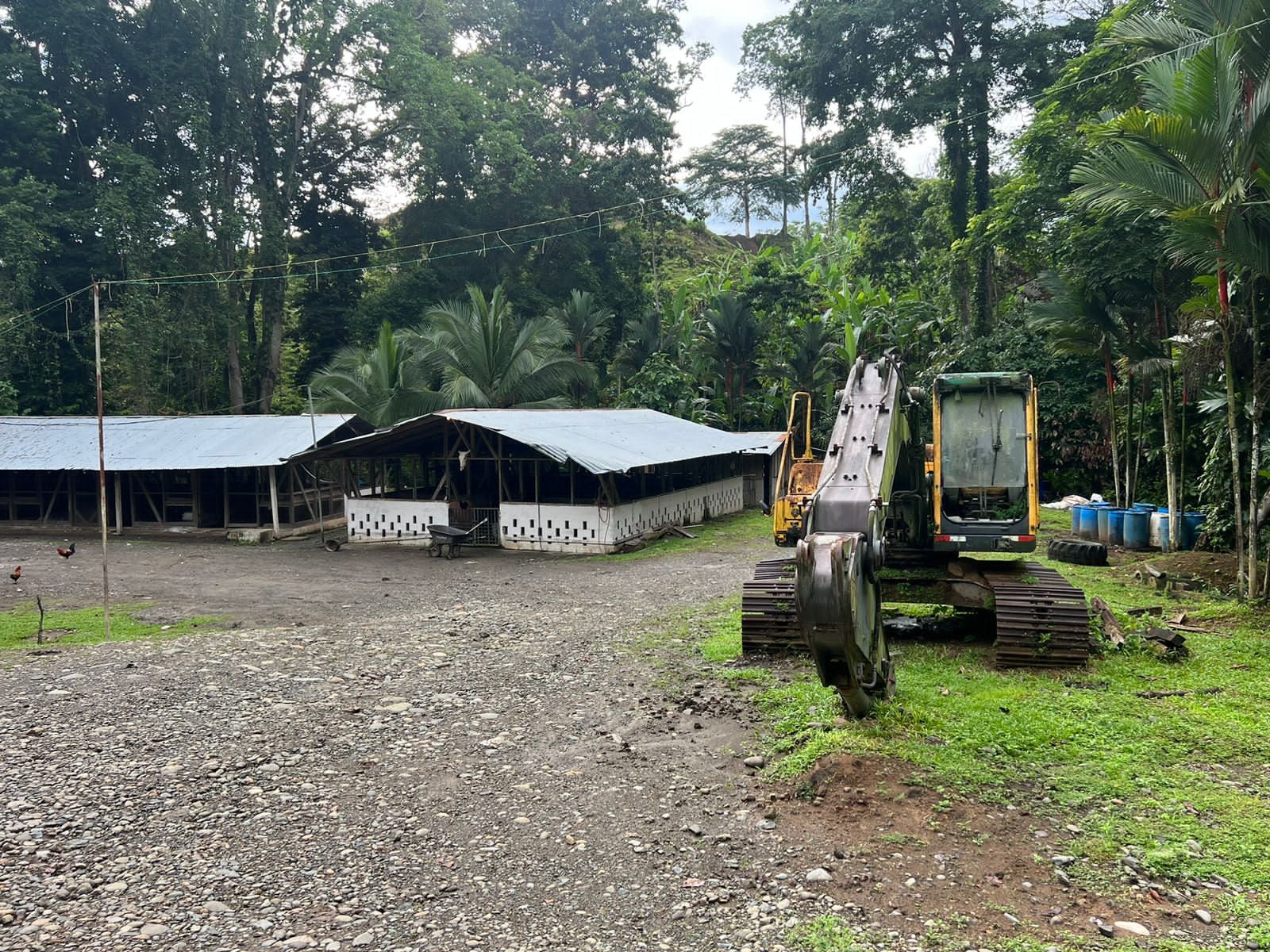 Banda desarticulada por lavado de dinero, pecho de rata