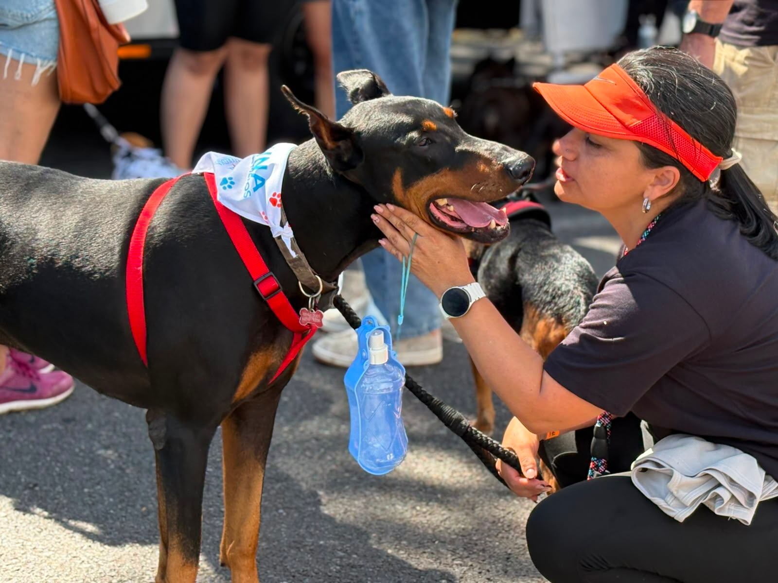 Marcha contra el maltrato animal en Heredia. Diputada propone endureces castigos por esos delitos.