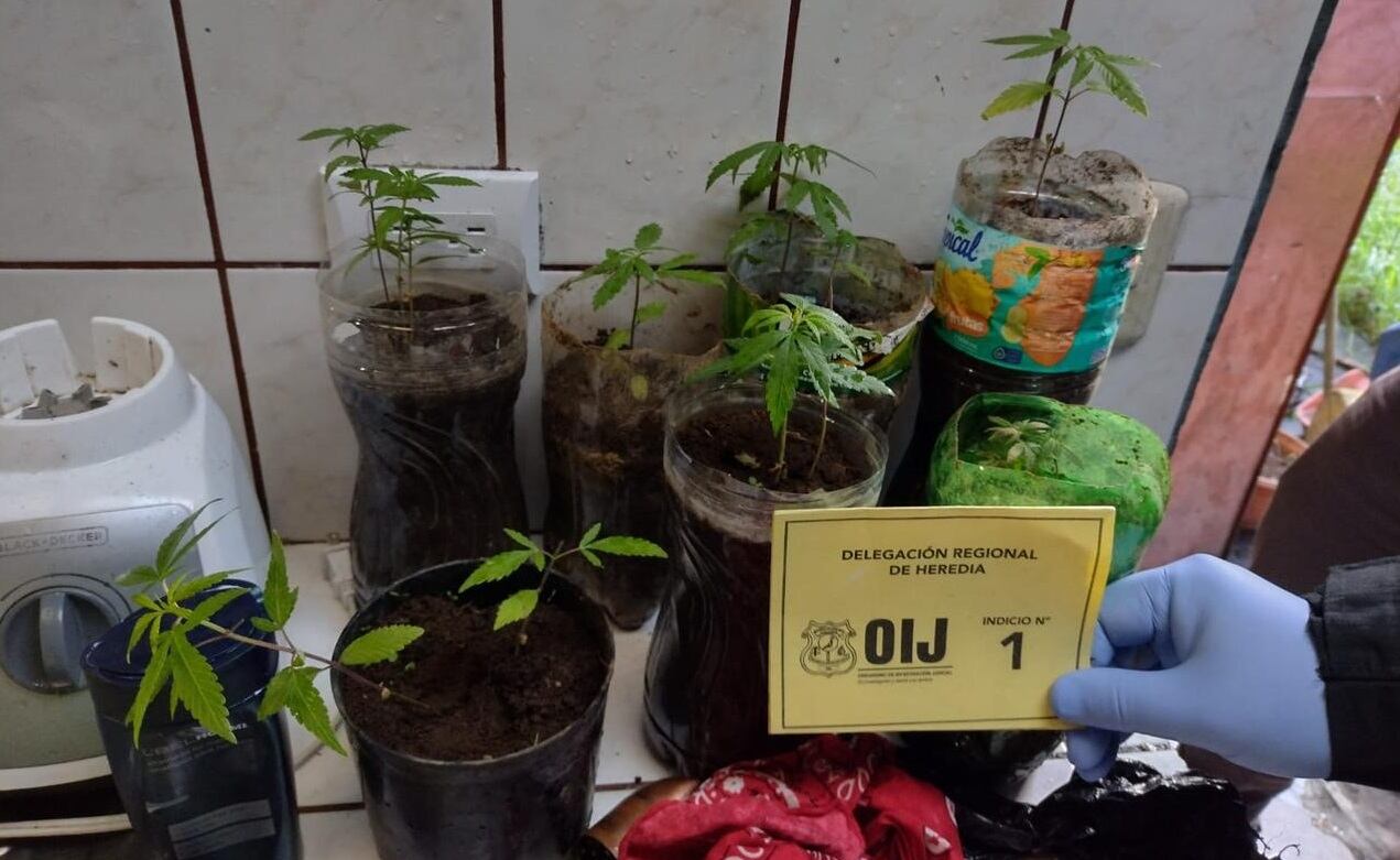 Detienen a sospechoso de asaltos en Santa Bárbara de Heredia. Foto OIJ.