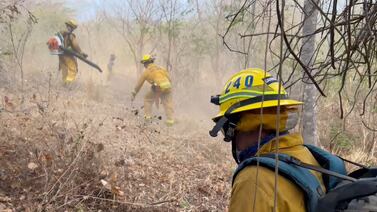 Bomberos están cerca de “liquidar” incendio forestal que ha causado gran daño en isla Chira