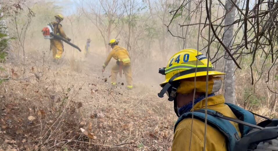 Los bomberos esperan terminar las labores en isla Chira este viernes. Foto Bomberos.