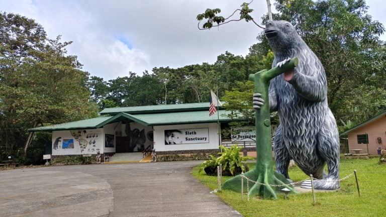 Jeffery Allen Rochte es de la tercera generación de una familia que cuida los perezosos de dos y tres dedos en Cahuita, LImón, donde tienen el Santuario de Perezosos.