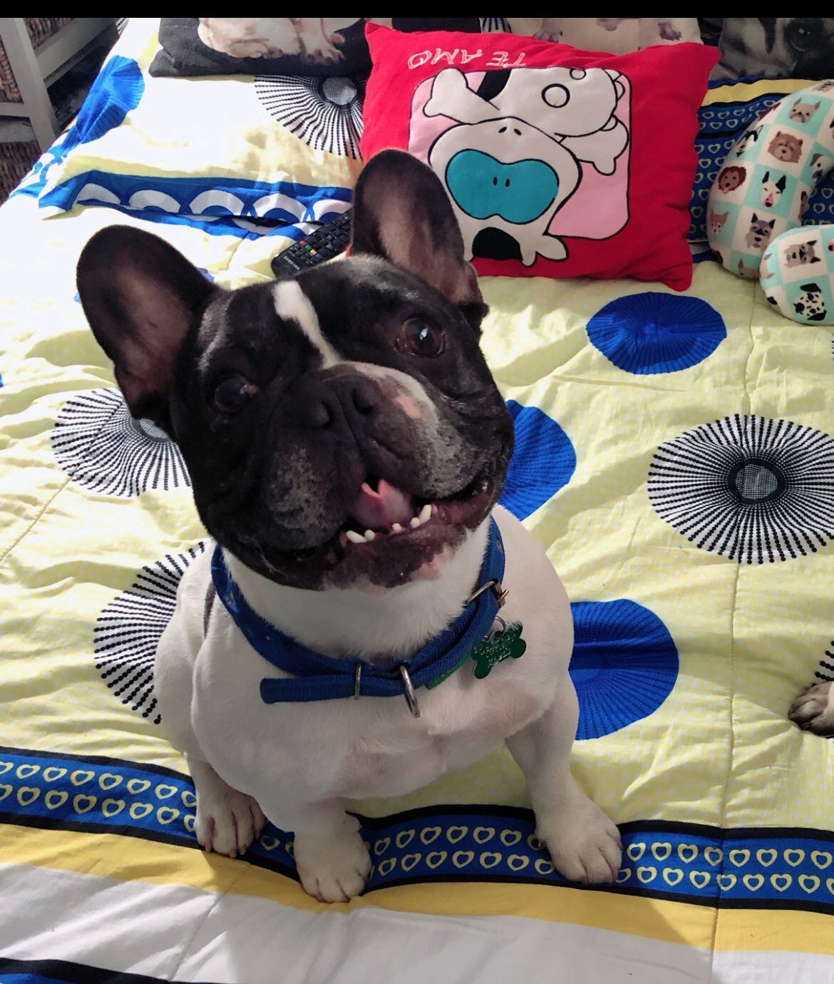 Tango fue robado en medio de un asalto en Hatillo 1.