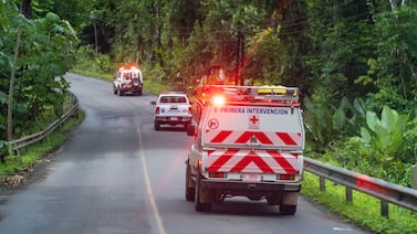 Trabajador es golpeado por árbol mientras laboraba removiendo material que cayó sobre ruta 32