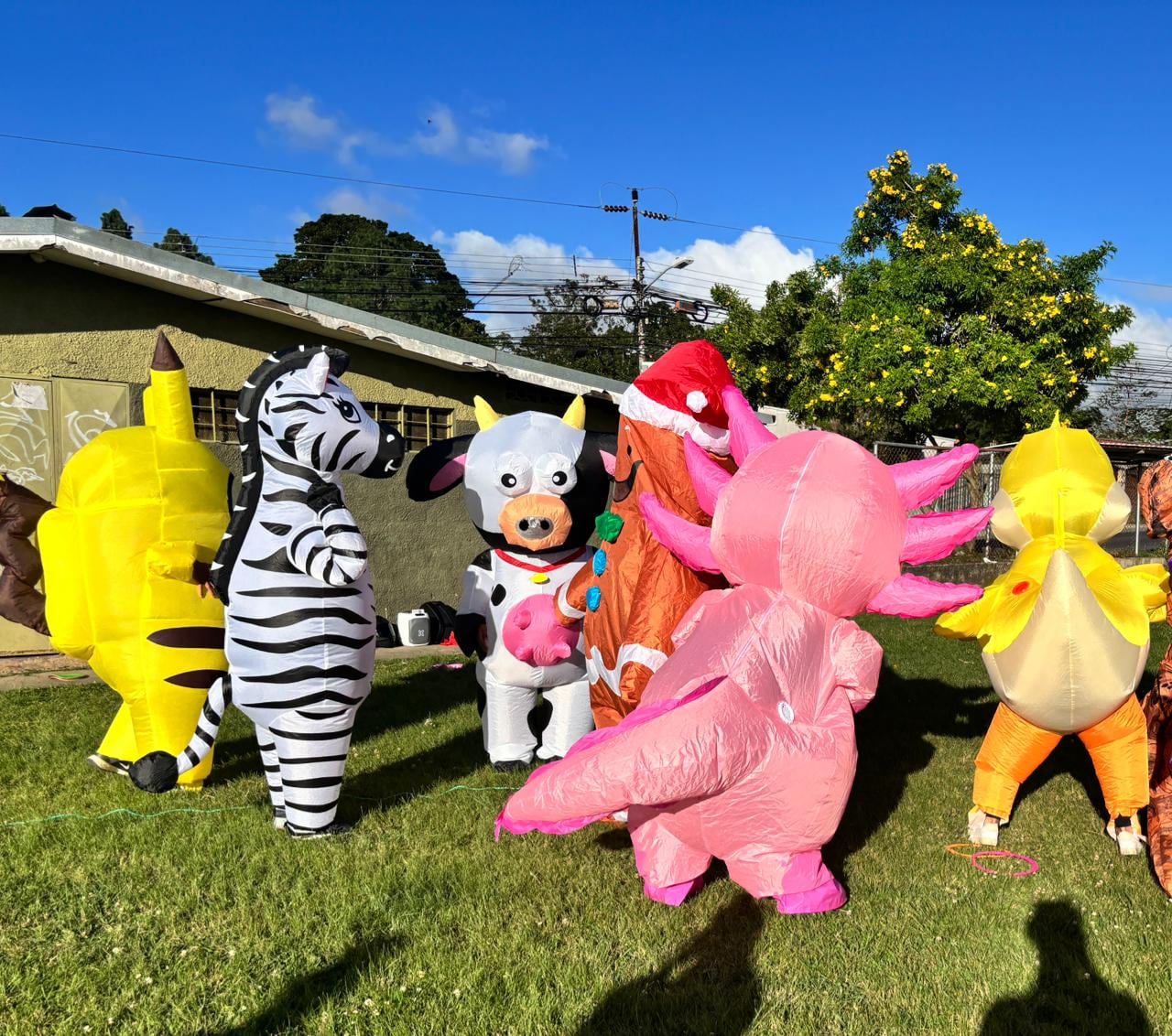 Familia lleva la Navidad a otro nivel en Guadalupe