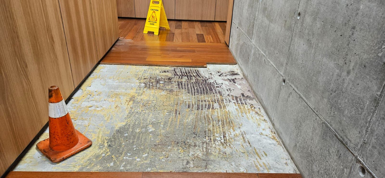 Daños por el agua en la Asamblea Legislativa