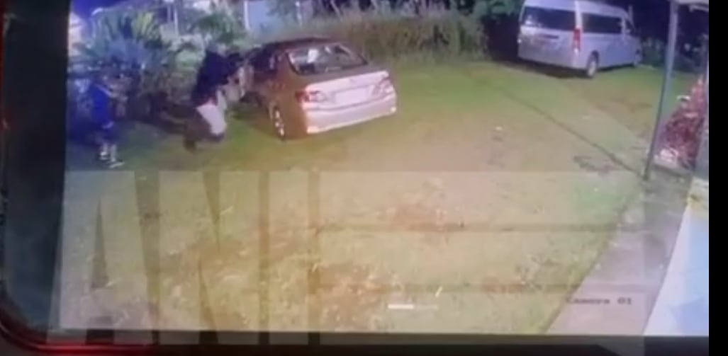 El ataque fue captado por una cámara de seguridad. Foto ANI.