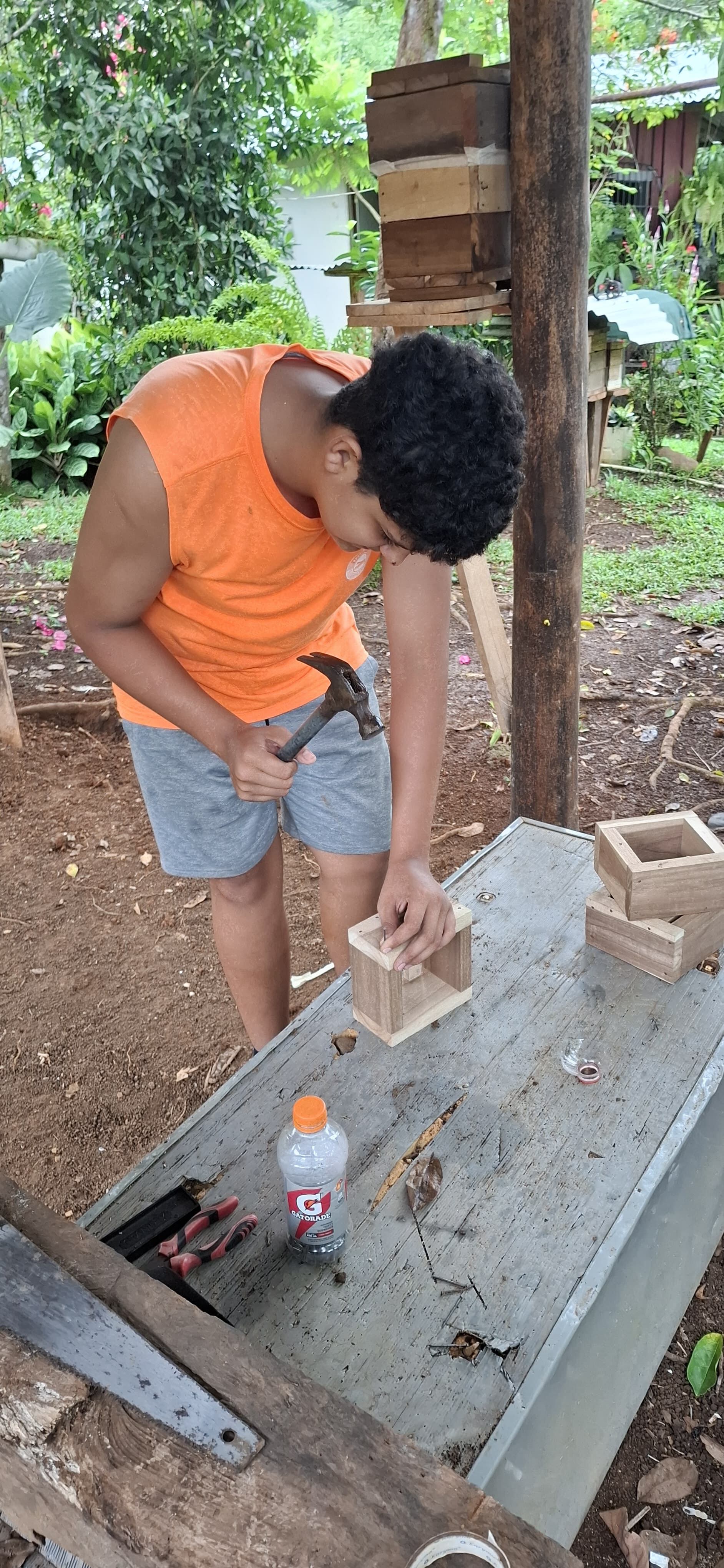 Osvaldo Murillo es un joven de 17 años, que logró crear su proyecto de meliponicultura, tiene varias colmenas y ya ha producido miel para venderla.