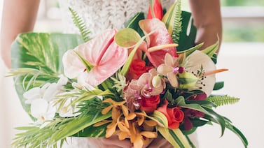 ¿Planea casarse este año? No se pierda la Expo Boda este fin de semana