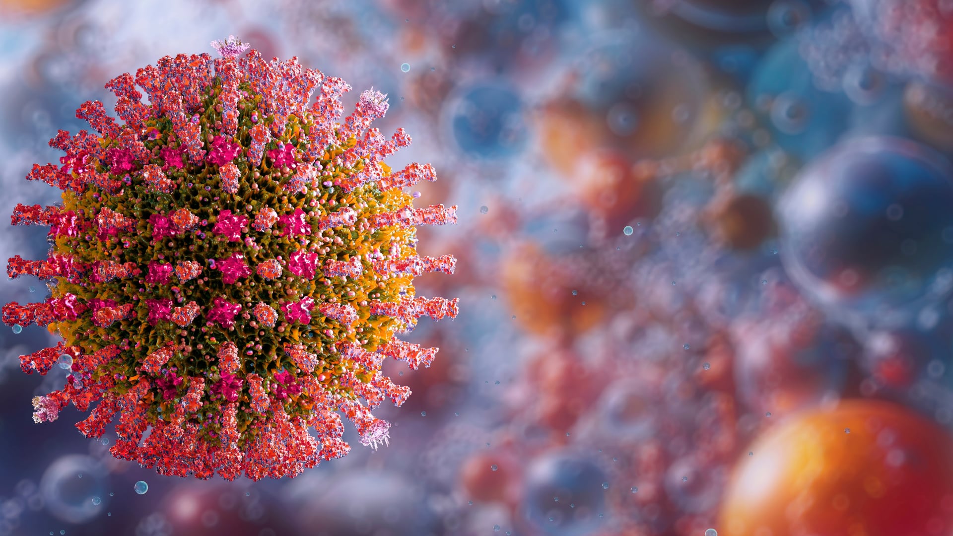 Ante síntomas como fiebre, tos, ojos rojos y sarpullido, es fundamental buscar atención médica y evitar el contacto con otras personas para limitar la propagación del sarampión.