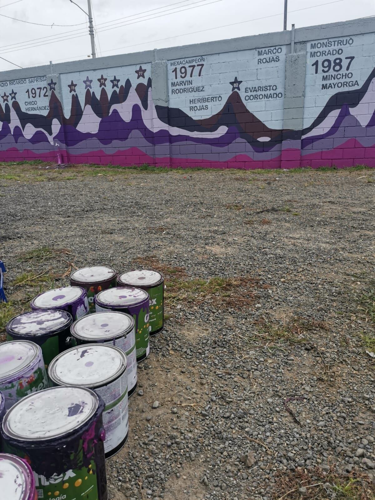 Mural pintado en el estadio Saprissa. Cortesía.