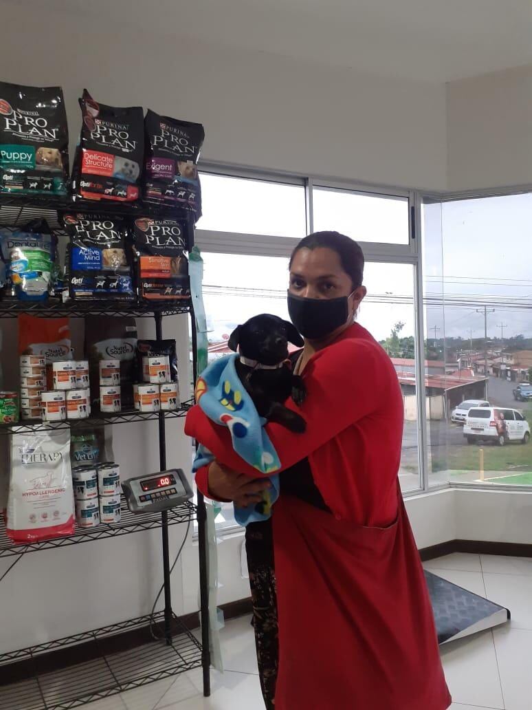 Angie Mora, presidenta Asociacion de Rescate y Adopciones Chicka & Lola