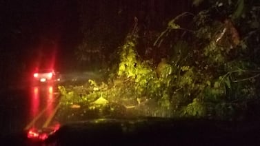 Cierran paso por ruta 32 debido a fuerte lluvia y caída de árboles