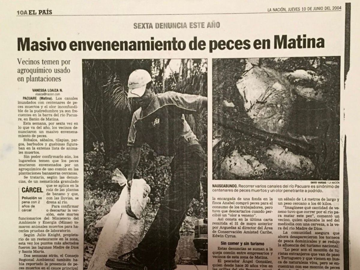 Las matanzas de peces por plaguicidas en Limpon han sido bien documentadas a lo largo de los años. Foto: Cortesía.