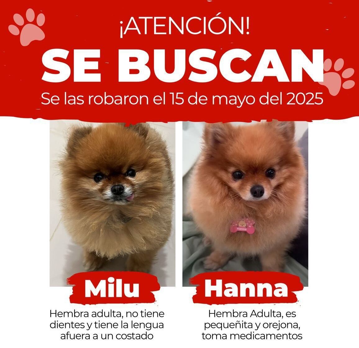 Vecina de Cartago fue víctima de asalto a casa por parte de falsos policías.