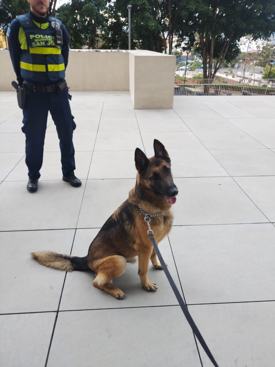 Desde antes de las seis de la mañana ya Seven andaba en los alrededores del edificio de la Asamblea Legislativo poniéndole duro al bretecito, feliz de la vida.