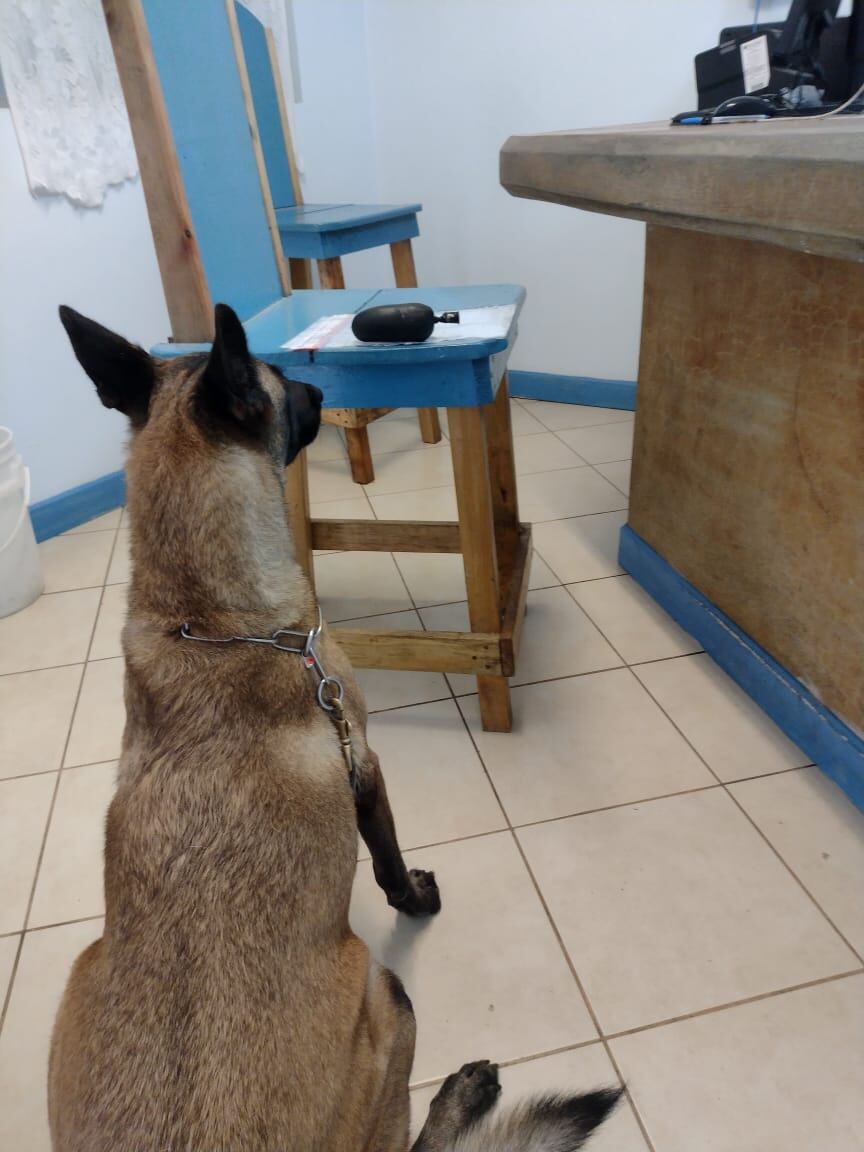 Serrano fue sorprendida cuando intentó meter un paquete e marihuana a un centro penal en Puntarenas. Foto Justicia.