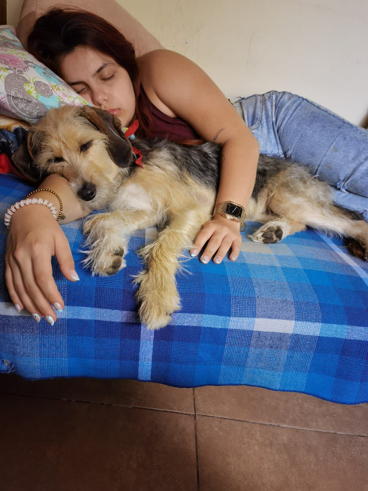 Alejandra Esquivel quien siempre supo que su vida estaría marcada por los perros, pero jamás imaginó que una peludita llamada Sol llegaría a convertirse en su refugio en medio de los días más oscuros de su vida.