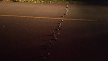 Delincuentes atacaron a guarda con la intención de abrir cajero automático