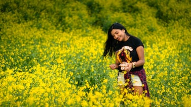 ¿Por qué muchas ticas esperan flores amarillas este 21 de setiembre?