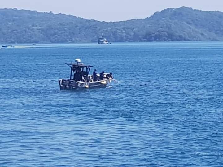 Guardacostas rescatan ocho perros que fueron lanzados al mar desde una lancha en Golfito. Foto Alfonso Quesada.