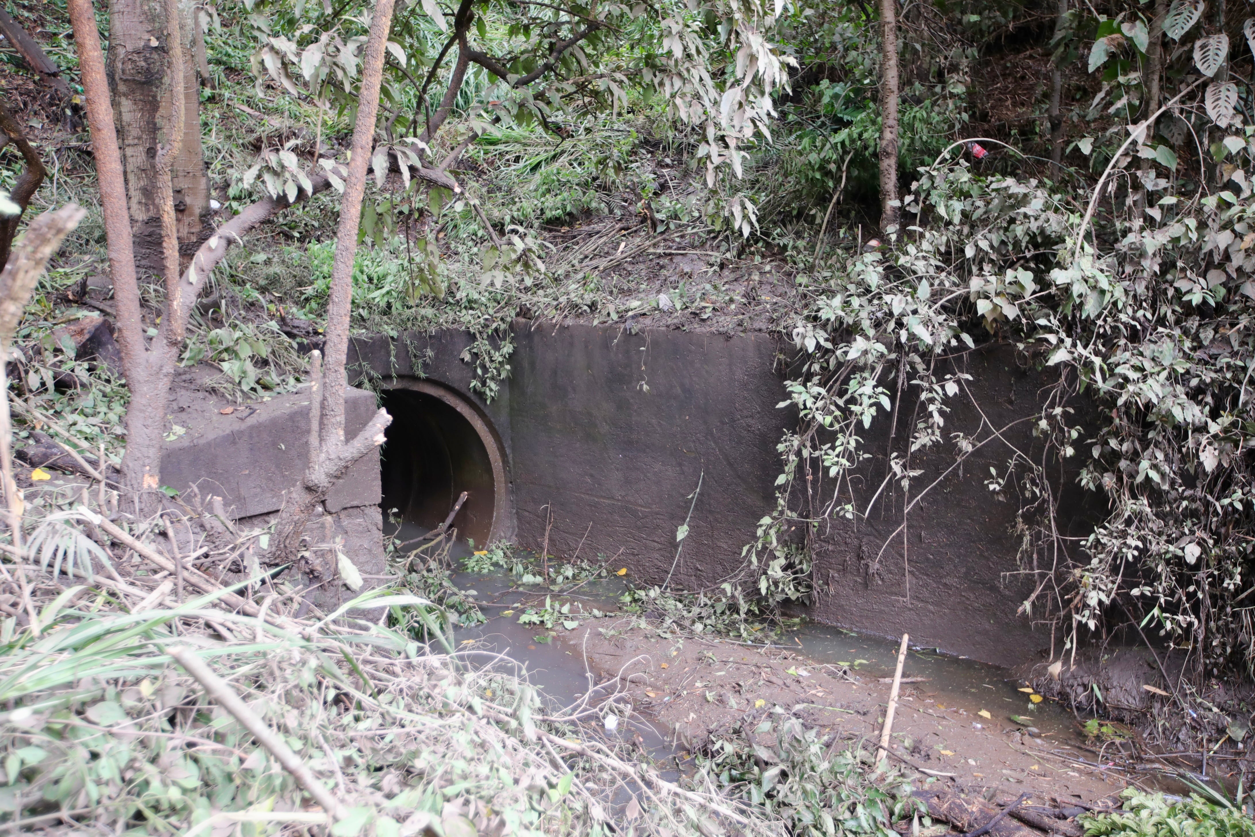San Pedro de Montes de Oca por Derecho de la UCR