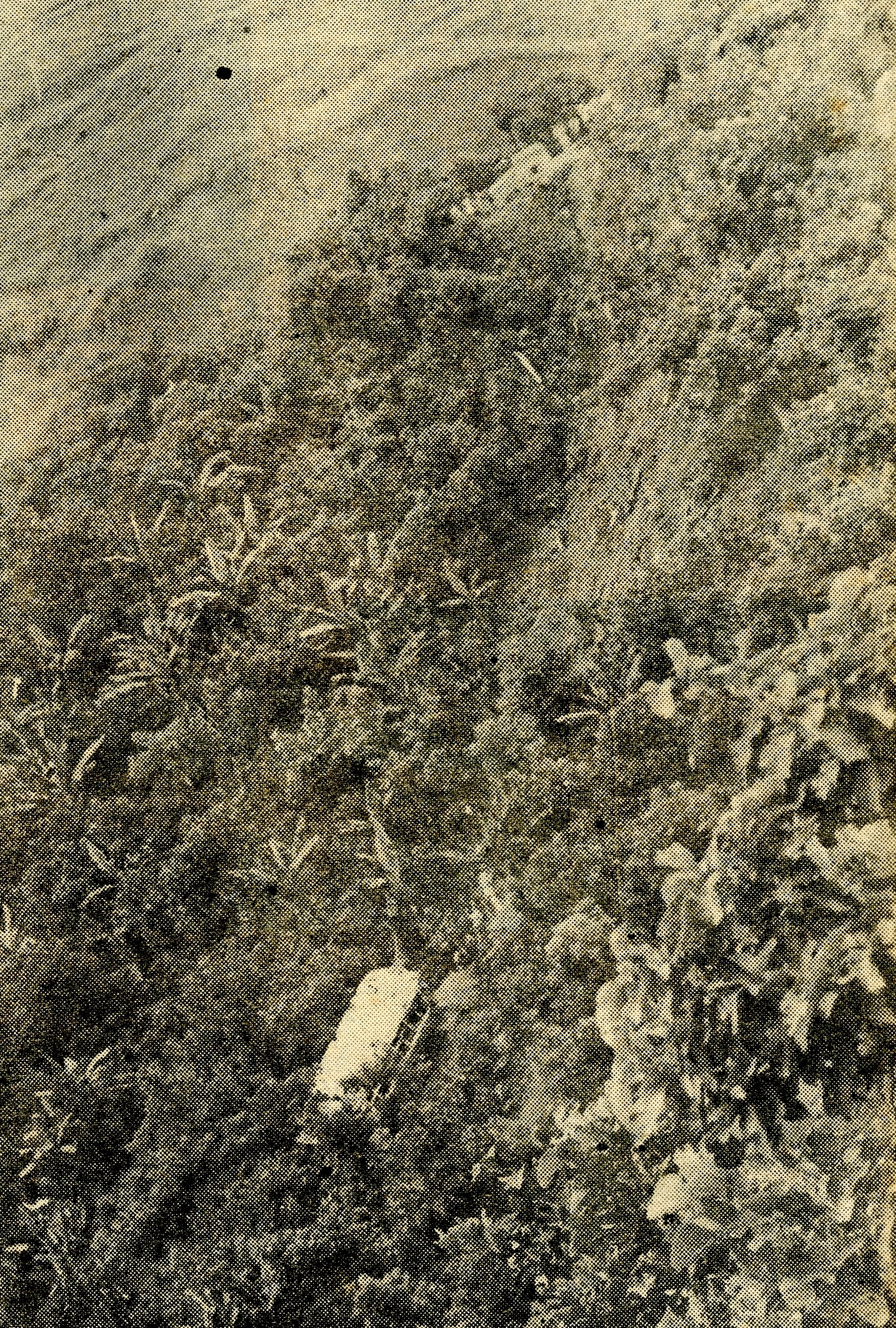 Tragedia Deportivo Monestel