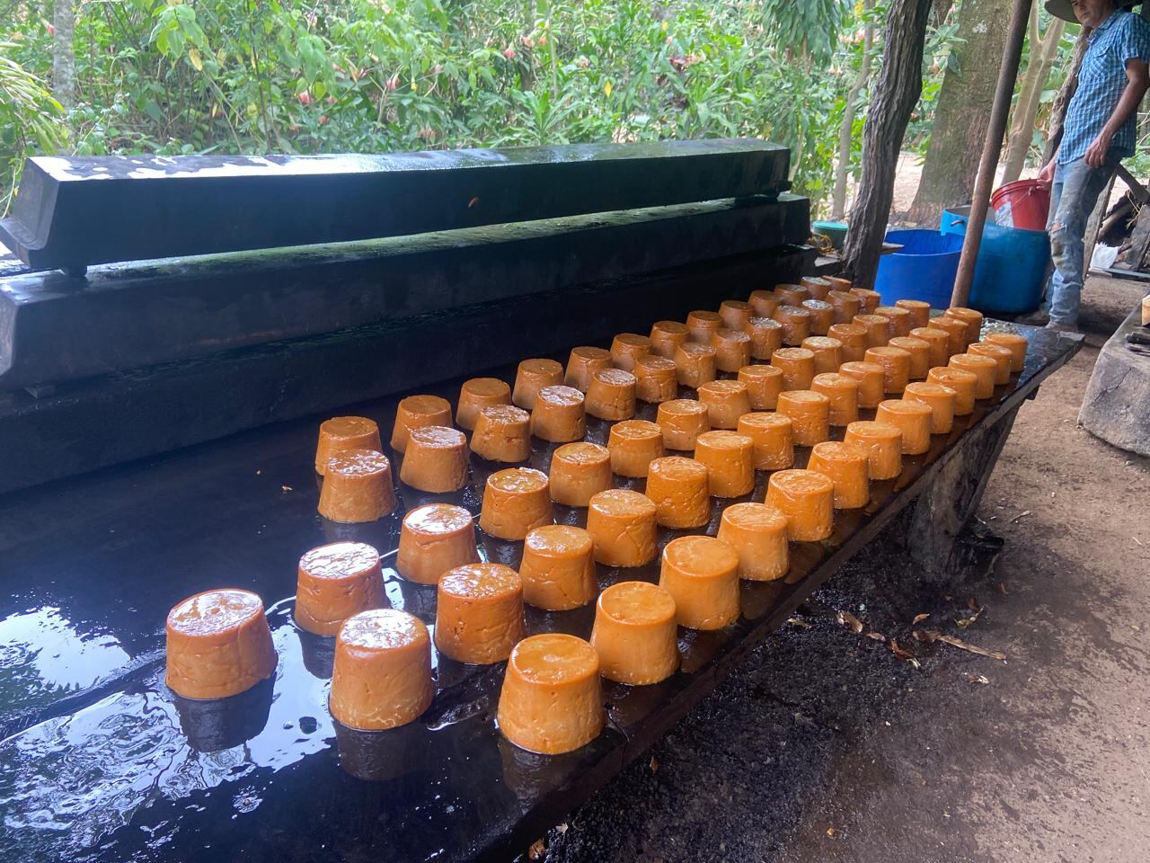 Un trapichero tico de la pura cepa, junto a sus tres hermanos, siguen trabajando en el trapiche que heredaron de su papá, quien lo heredó del suyo. Es un trapiche en Atenas que tiene más de 100 años de funcionar sin parar. Iván, Greivin, Célimo y Berny Alpízar Arce, son los cuatro hermanos que no le aflojan al “Trapiche Don Uriel”.