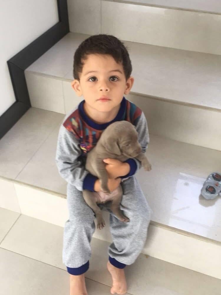 बर्नी मॅड्रिगल