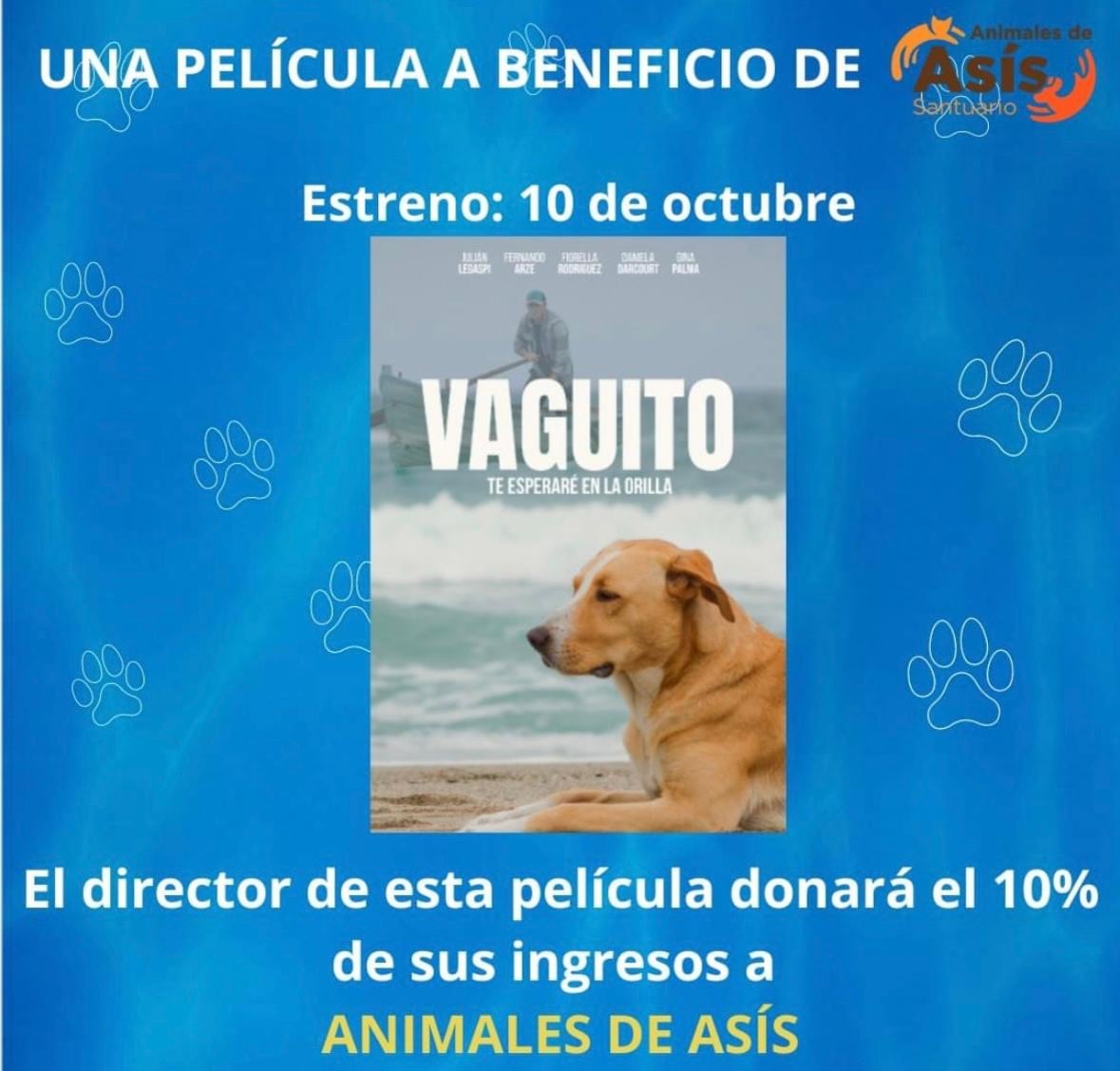 Vaguito la película