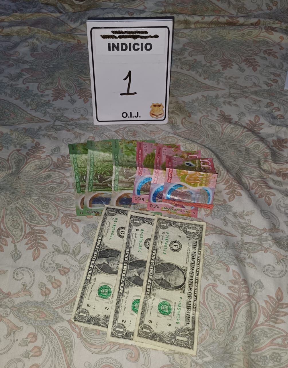 Allanamiento en Bribrí.