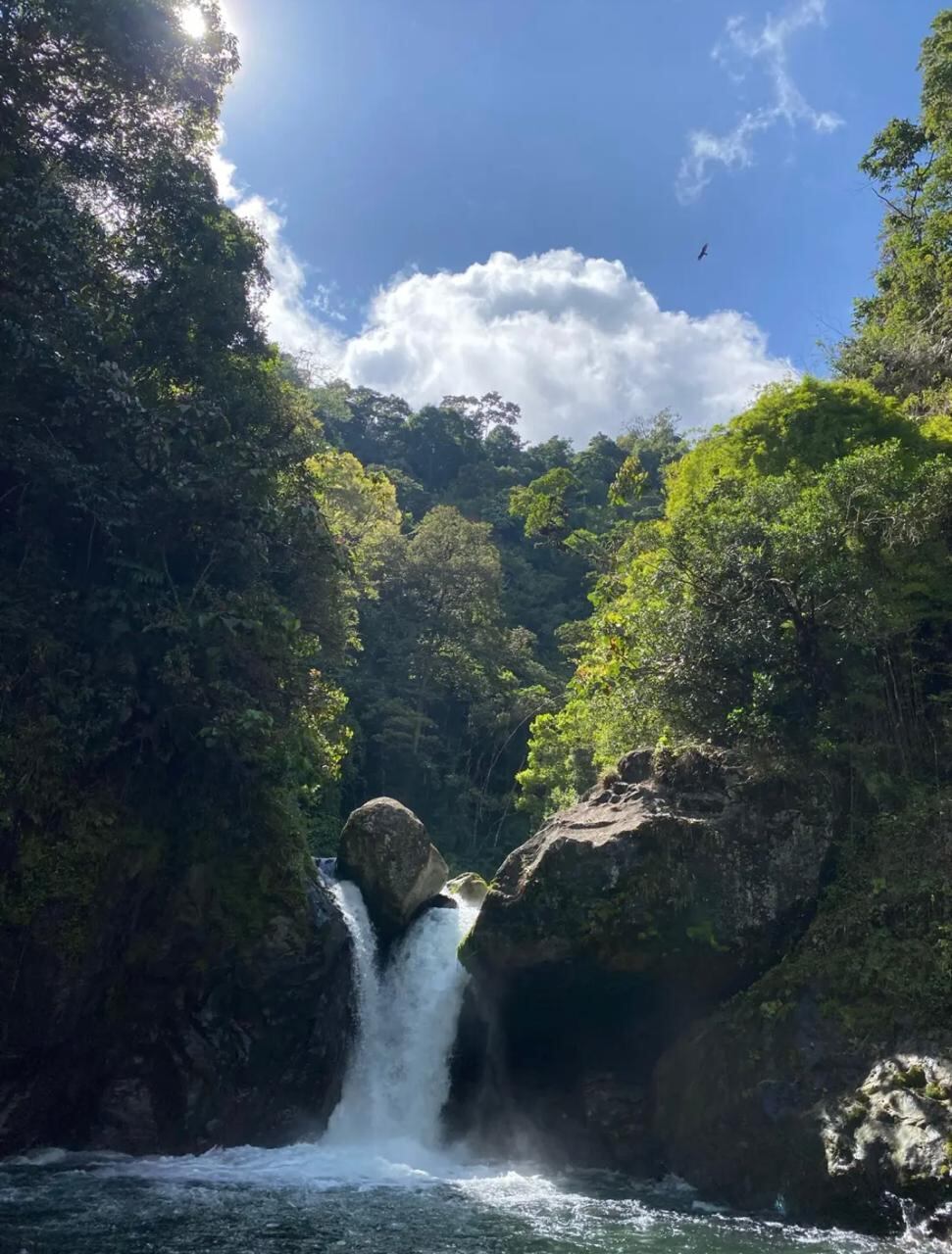 Para poder ingresar no debe pagar entrada, pero es importante seguir las recomendaciones.