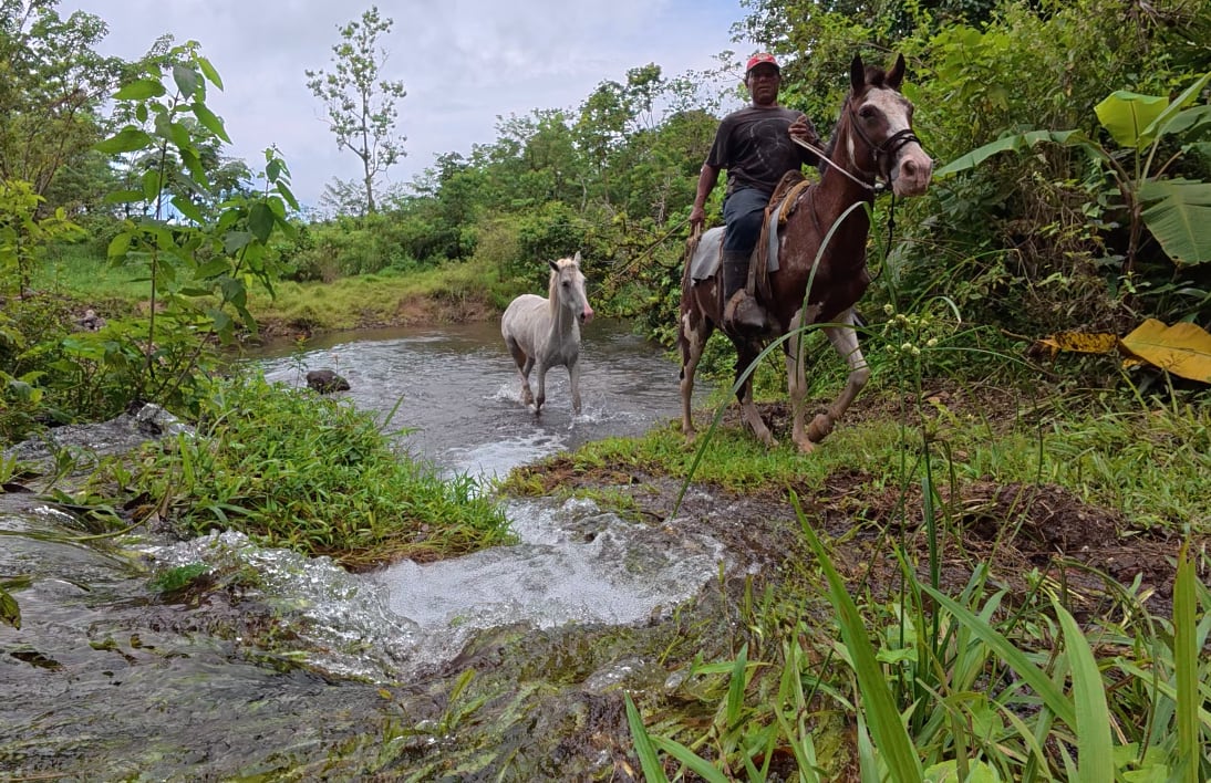 BIJAGUA / Tiempo Libre