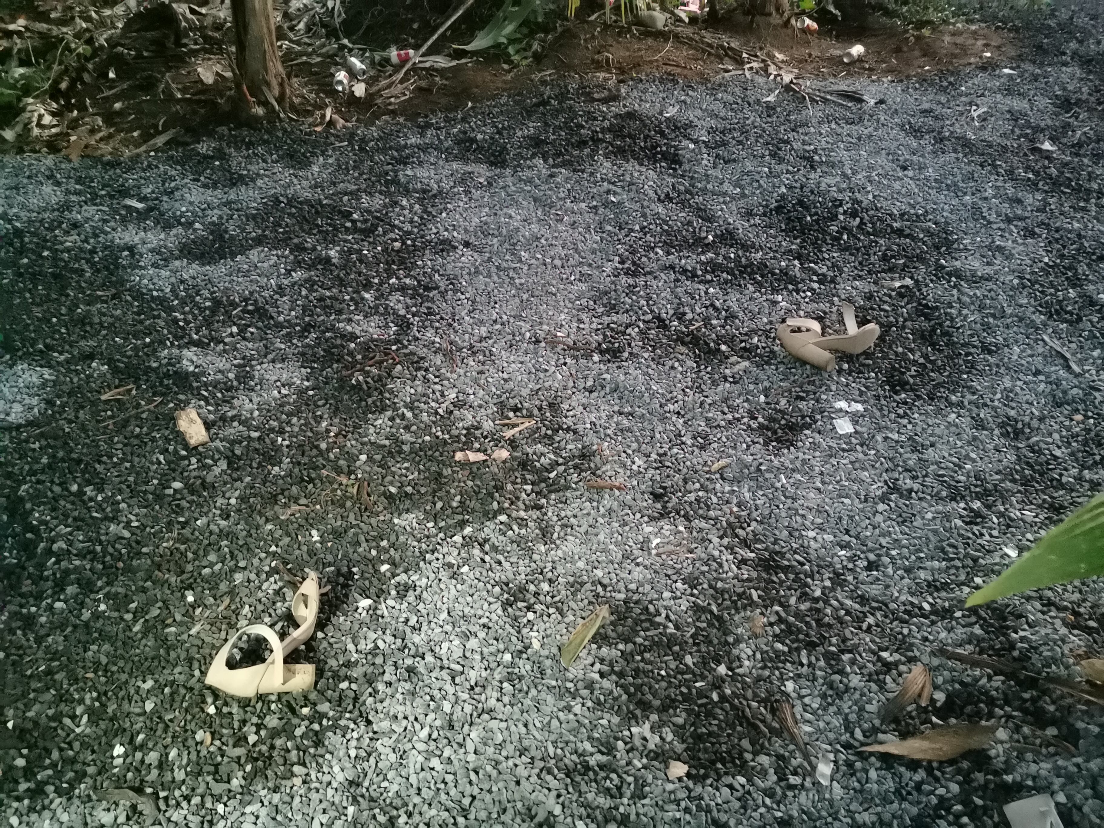 Fiesta clandestina termina con un fallecido y dos heridos en Guácimo. Fotos Reyner Montero.