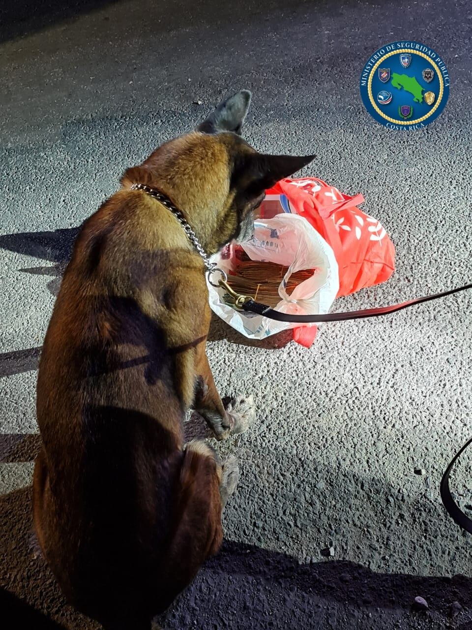 Decomisan ¢11 millones de dudosa procedencia a dos mujeres en Desamparados. Foto MSP.